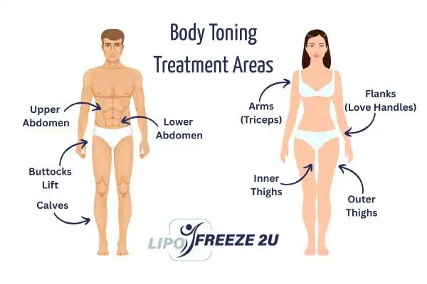 Graphic showing where you can have Body toning Treatment Worksop on your body
